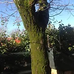 Il Borghetto Farmház *