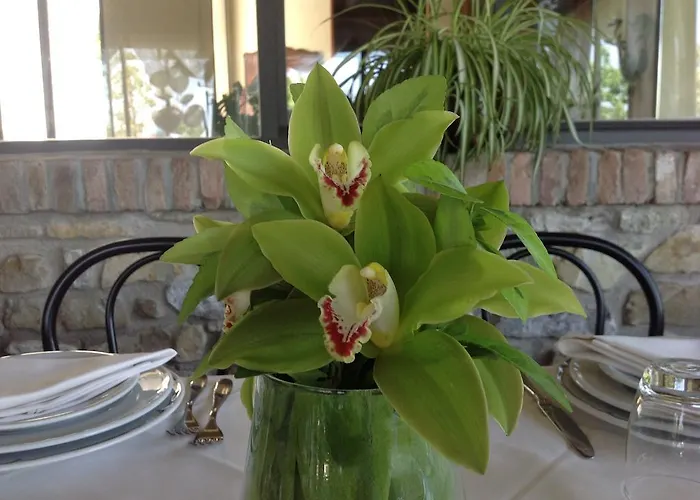 مزرعة للإقامة Il Borghetto كريسْبيلاّنو